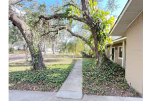 3907 APPLEGATE CIRCLE, BRANDON, FL 33511 Sold 09/17/25