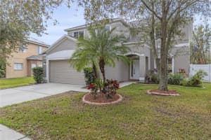 10525 LUCAYA DRIVE, TAMPA, FL 33647 Sold 06/30/25