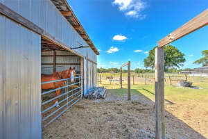 6709 KNIGHTS GRIFFIN ROAD, PLANT CITY, FL 33565 - MLS#MFRTB8375348