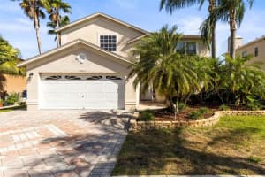 11503 Whispering Hollow Dr, TAMPA
