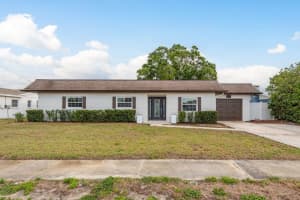 8721 Bay Crest Ln, TAMPA