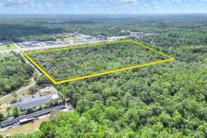 8935 KINGSTON DRIVE, HOMOSASSA, FL 34448 - MLS#MFRTB8375477