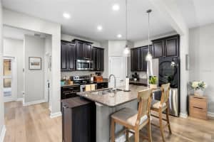 28638 TRANQUIL LAKE CIRCLE, WESLEY CHAPEL, FL 33543 - MLS#MFRTB8375488