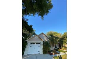4504 CABBAGE PALM DRIVE, VALRICO, FL 33596 Sold 07/16/25
