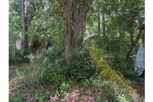 5517 PENTAIL CIRCLE, TAMPA, FL 33625 Sold 06/24/25