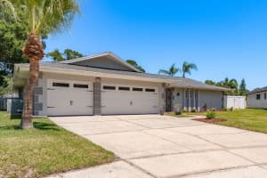 3241 BRUSHWOOD COURT, CLEARWATER, FL 33761 Sold 07/11/25