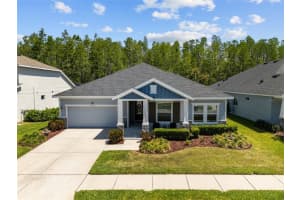 15329 Renaissance Ave, ODESSA