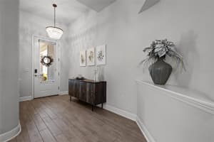 15329 RENAISSANCE AVENUE, ODESSA, FL 33556 - MLS#MFRTB8375590