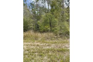 14139 PIGEON ROAD, HUDSON, FL 34669 - MLS#MFRTB8375602