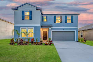 9893 Branching Ship Trce, WESLEY CHAPEL