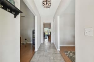 13803 CHERRY BROOK LANE, TAMPA, FL 33618 Sold 05/29/25