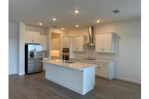 31556 CARDINAL YARD DRIVE, SAN ANTONIO, FL 33576 Sold 07/30/25