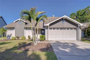 2015 BRANCH TREE LANE, BRANDON, FL 33511 Sold 05/28/25