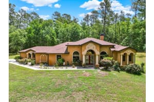 24498 CASEY ROAD, BROOKSVILLE, FL 34601 - MLS#MFRTB8375686
