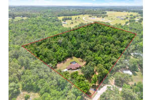 24498 CASEY ROAD, BROOKSVILLE, FL 34601 - MLS#MFRTB8375686