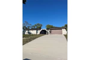 186 DAN RIVER DRIVE, SPRING HILL, FL 34606 - MLS#MFRTB8375735