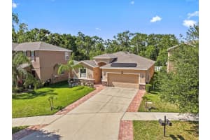 10514 SCENIC HOLLOW DRIVE, RIVERVIEW, FL 33578 - MLS#MFRTB8375743