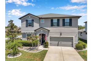 8226 SUMMER BROOK COURT, LAND O LAKES, FL 34638 Sold 08/15/25