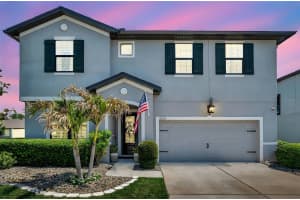 8226 SUMMER BROOK COURT, LAND O LAKES, FL 34638 Sold 08/15/25