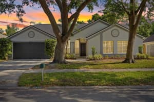 6501 APPALOOSA DRIVE, TAMPA, FL 33625 Sold 07/18/25