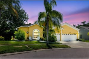 11209 POCKET BROOK DRIVE, TAMPA, FL 33635 Sold 07/28/25