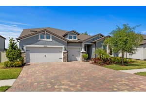 19204 Briarbrook Dr, TAMPA