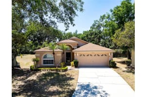 4701 BEAR CLAW COURT, VALRICO, FL 33594 Sold 05/27/25
