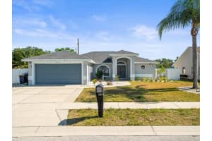 8702 PINAFORE DRIVE, NEW PORT RICHEY, FL 34653 Sold 06/27/25