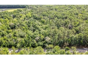 3060 SPRING LAKE HIGHWAY, BROOKSVILLE, FL 34602 - MLS#MFRTB8376013
