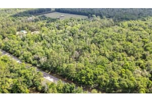 3060 SPRING LAKE HIGHWAY, BROOKSVILLE, FL 34602 - MLS#MFRTB8376013