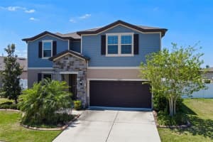 13871 Carlow Park Dr, RIVERVIEW