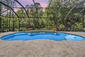 12801 CASTLEMAINE DRIVE, TAMPA, FL 33626 Sold 06/23/25