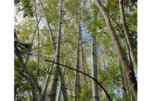 411 SOLONA STREET, PUNTA GORDA, FL 33950 - MLS#MFRTB8376035