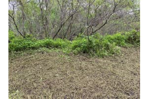 411 SOLONA STREET, PUNTA GORDA, FL 33950 - MLS#MFRTB8376035