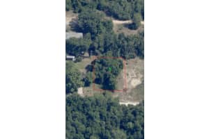 2808 VAN BUREN STREET, INVERNESS, FL 34453 - MLS#MFRTB8376078