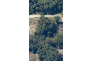 2808 VAN BUREN STREET, INVERNESS, FL 34453 - MLS#MFRTB8376078