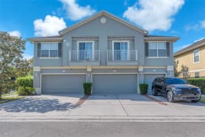 6851 BREEZY PALM DRIVE, RIVERVIEW, FL 33578 Sold 06/20/25