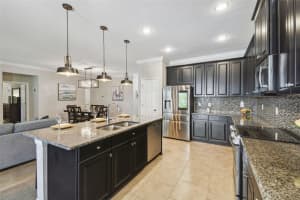 18796 OBREGAN DRIVE, SPRING HILL, FL 34610 Sold 07/18/25