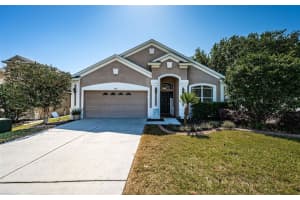 19610 Sunset Bay Dr, LAND O LAKES