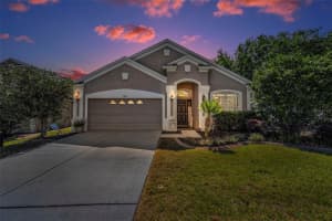 19610 SUNSET BAY DRIVE, LAND O LAKES, FL 34638 - MLS#MFRTB8376232