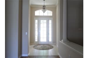 30434 COLEHAVEN COURT, WESLEY CHAPEL, FL 33543 - MLS#MFRTB8376292