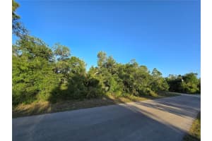 WALLER RD, NORTH PORT, FL 34288 - MLS#MFRTB8376344