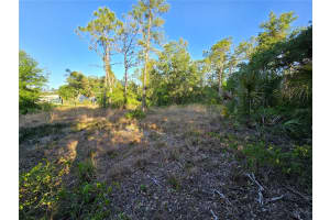 WALLER RD, NORTH PORT, FL 34288 - MLS#MFRTB8376344