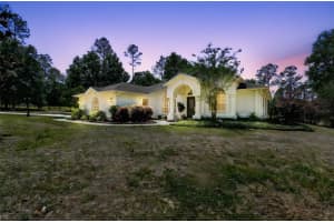 17835 PINE KNOLL DRIVE, DADE CITY, FL 33523 Sold 06/04/25