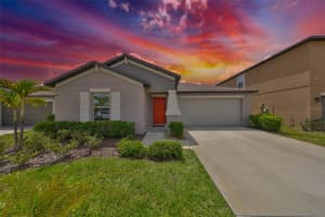 16665 DELIA STREET, WIMAUMA, FL 33598 - MLS#MFRTB8376390