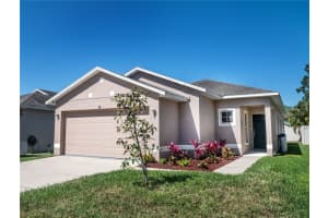 811 College Leaf Way, RUSKIN
