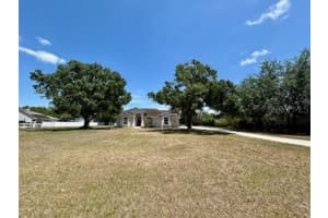 17127 BROWN ROAD, ODESSA, FL 33556 - MLS#MFRTB8376451