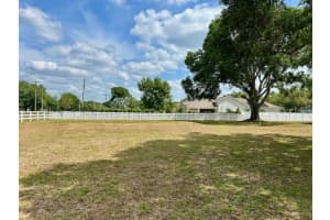 17127 BROWN ROAD, ODESSA, FL 33556 - MLS#MFRTB8376451