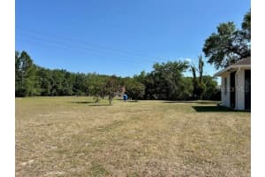 17127 BROWN ROAD, ODESSA, FL 33556 - MLS#MFRTB8376451