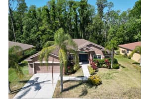 1135 Wyndham Lakes Dr, ODESSA